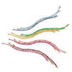Birthstone Rainbow Collection