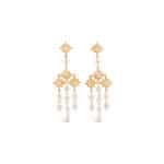 Shining Star Chandelier Earrings