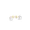 Freshwater White Pearl Ear Studs/AAA+