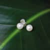 Freshwater White Pearl Ear Studs/AAA+