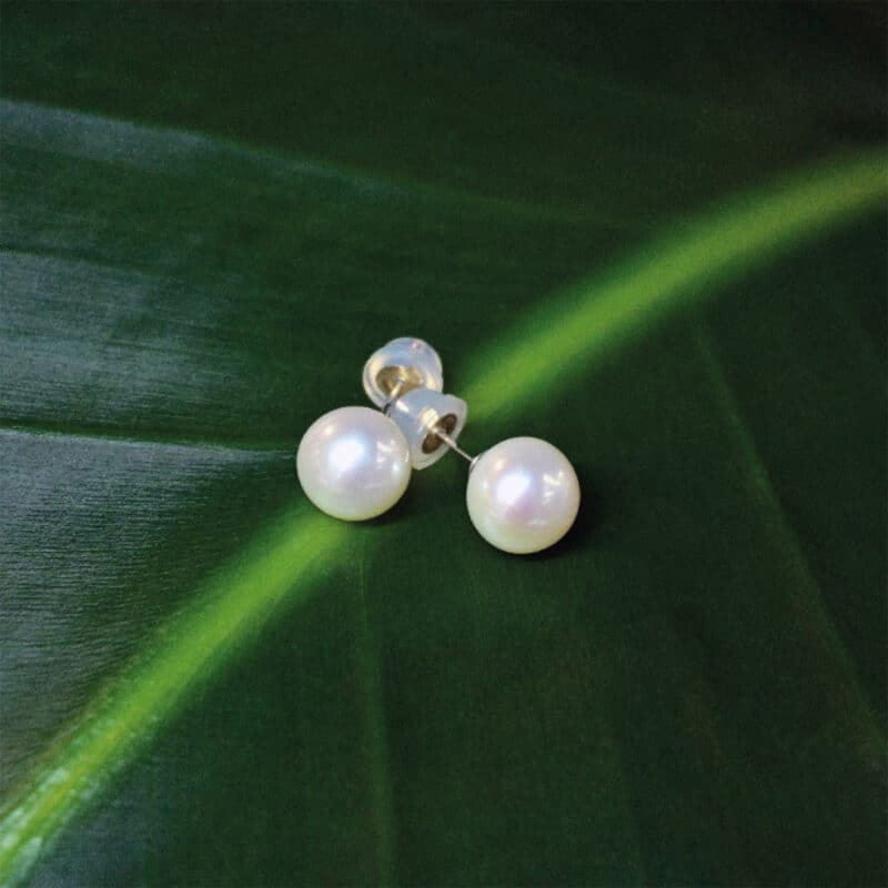 Freshwater White Pearl Ear Studs/AAA+