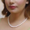 Freshwater White Pearl Ear Studs/AAA+