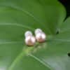 Lavender Pearl Ear Studs
