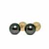 Tahitian Pearl Ear Studs