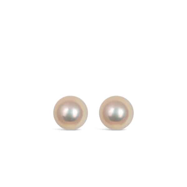 Freshwater Pearl Ear Studs/ Creamy White