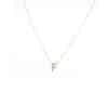 Single Letter Necklace