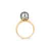 Tahitian Pearl Ring with Gold Band
