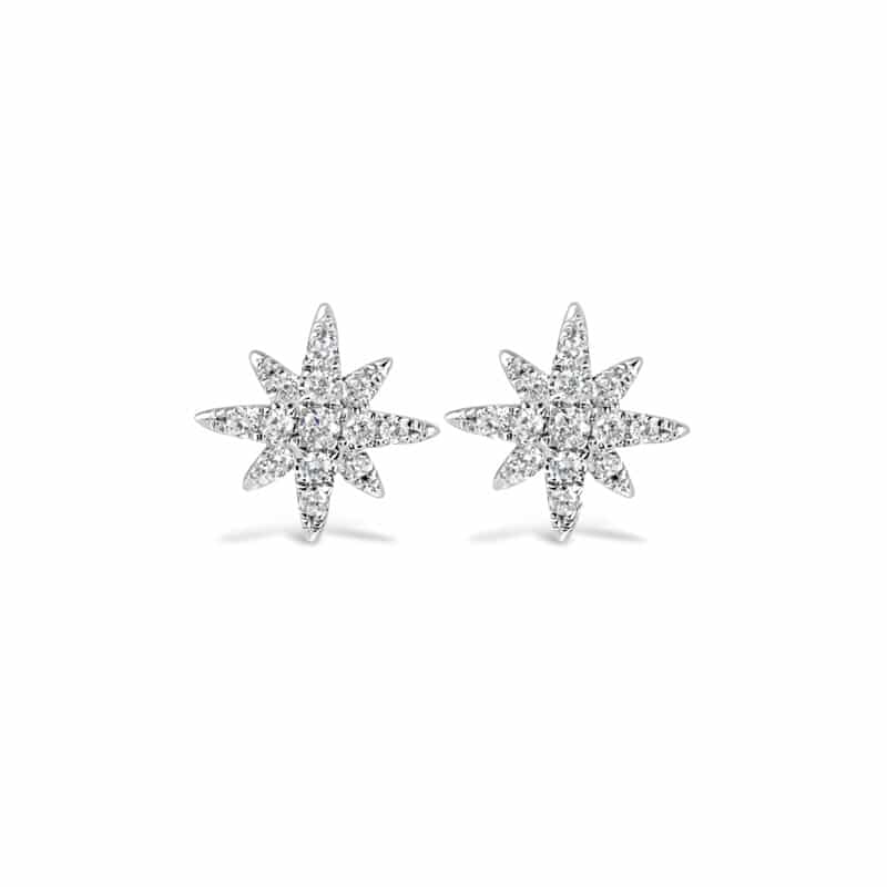 Tara Earrings