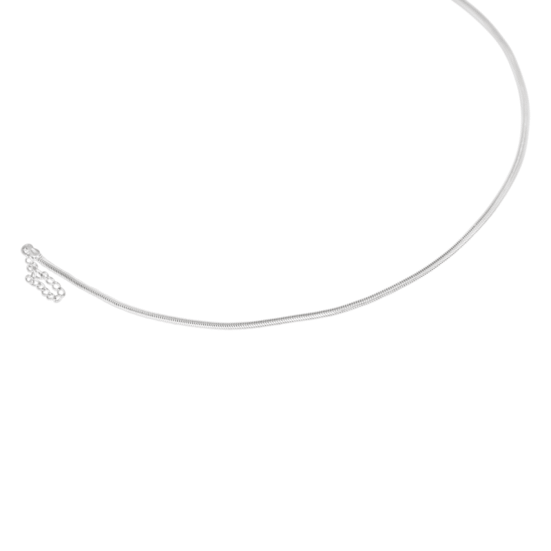 Silver Chain/ Flat