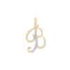 0366_Cursive-Letter-Pendant-B-1-.jpg Cursive Letter Pendant